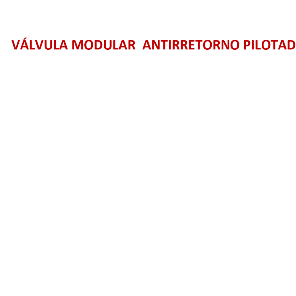 VÁLVULA MODULAR ANTIRRETORNO PILOTADO NG 6