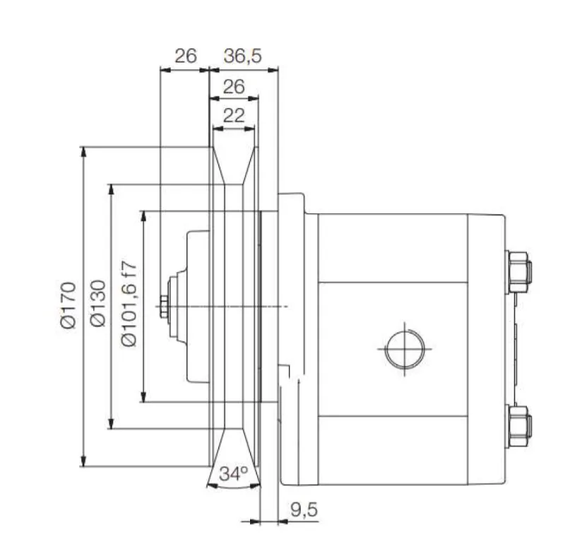 Group 3 Gear Pump with Pulley