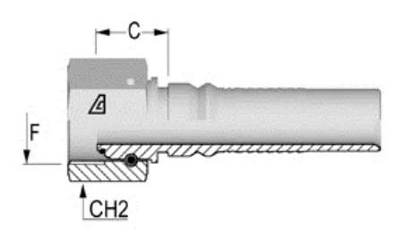 Female BSP 60° Cone Fitting for Hose