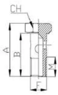 Simple Gas Cone Screw 60°