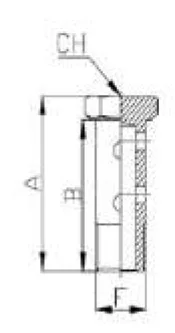 60° Double Cone Gas Screw