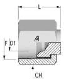 SAE Blind Nut