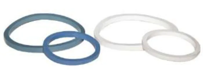 Guillemin Coupling Seal