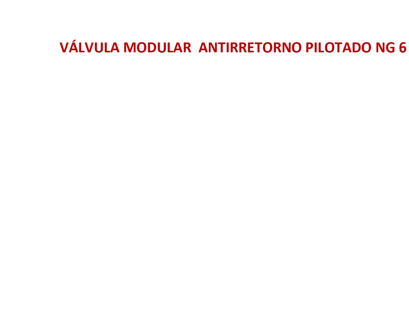 Modular Piloted NG6 Non-Return Valve