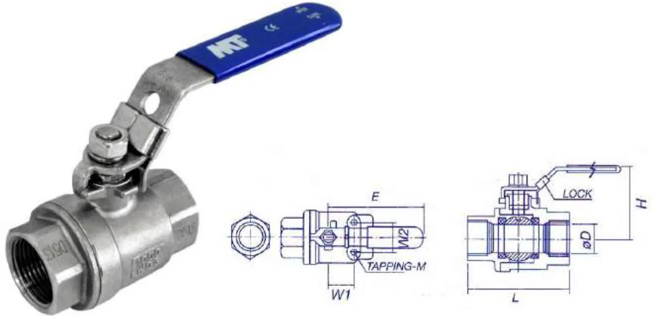 Stainless Steel 316 Ball Valve – 2 Pieces