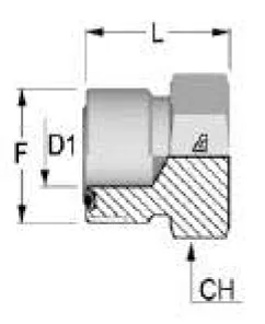 Male ORFS Plug