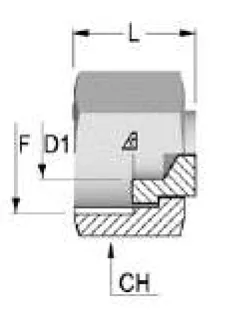 ORFS Female Plug