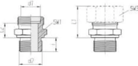 Guillemin Straight BSP Heavy Series Coupling