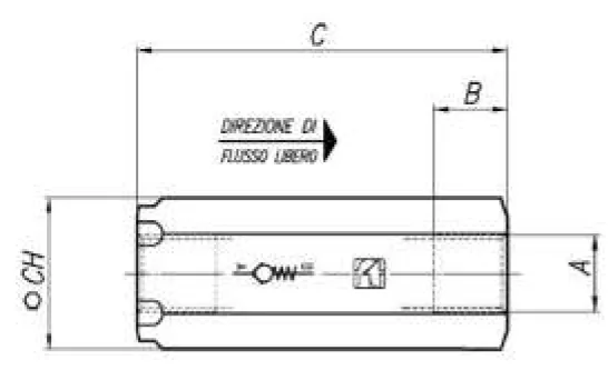 Spring-Loaded Piston Check Valve