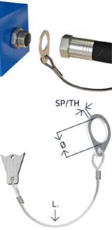DIN/BSPP Safety Cable with Washer