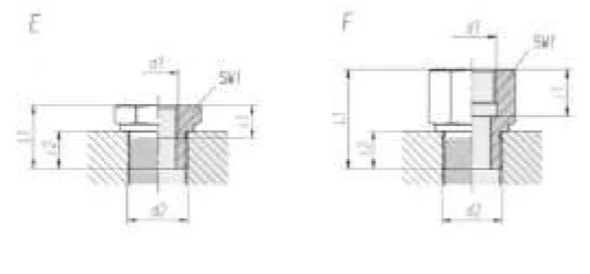 Reducing Male/Female Adapter RI GAS