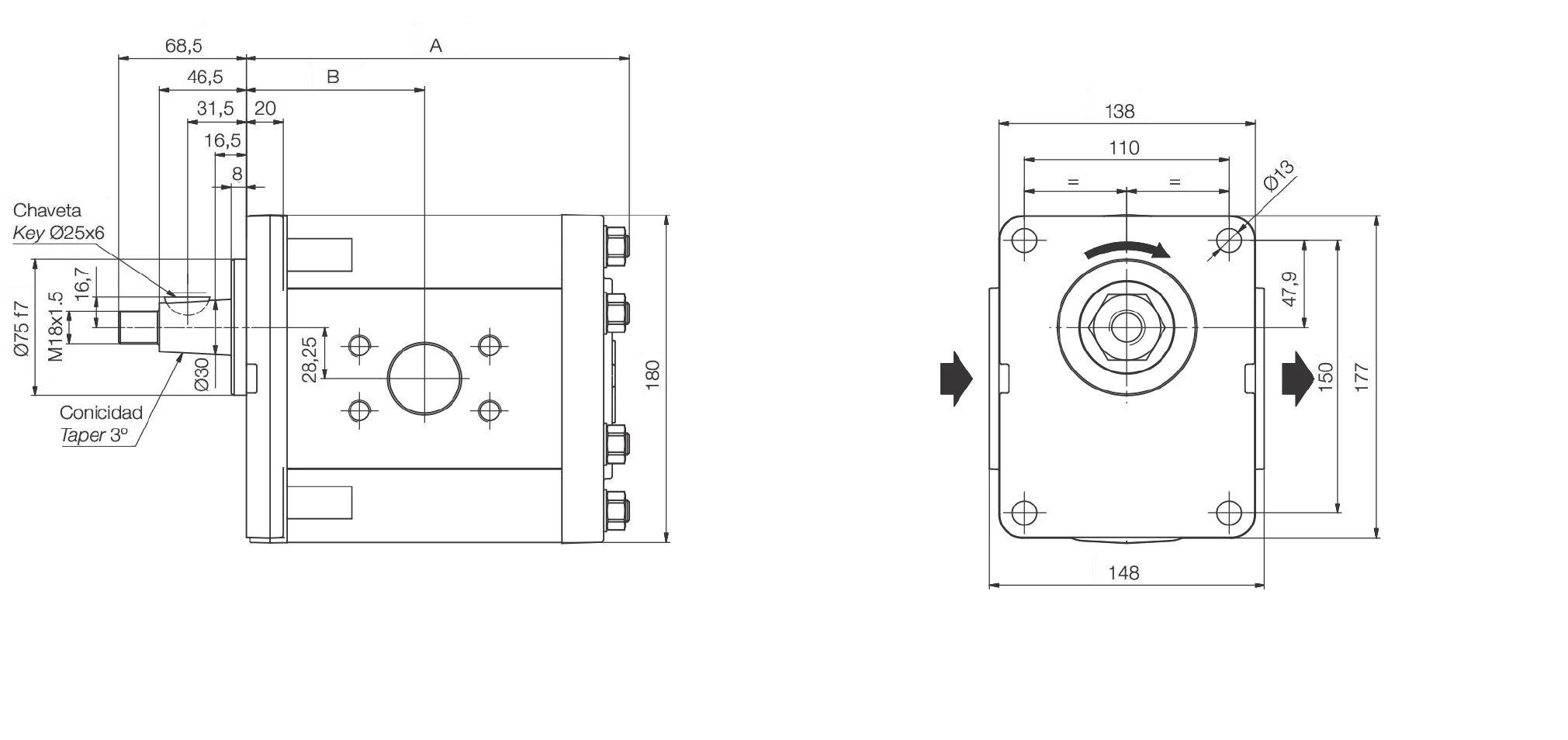 Roquet 1PLC Shaft A Gear Pump